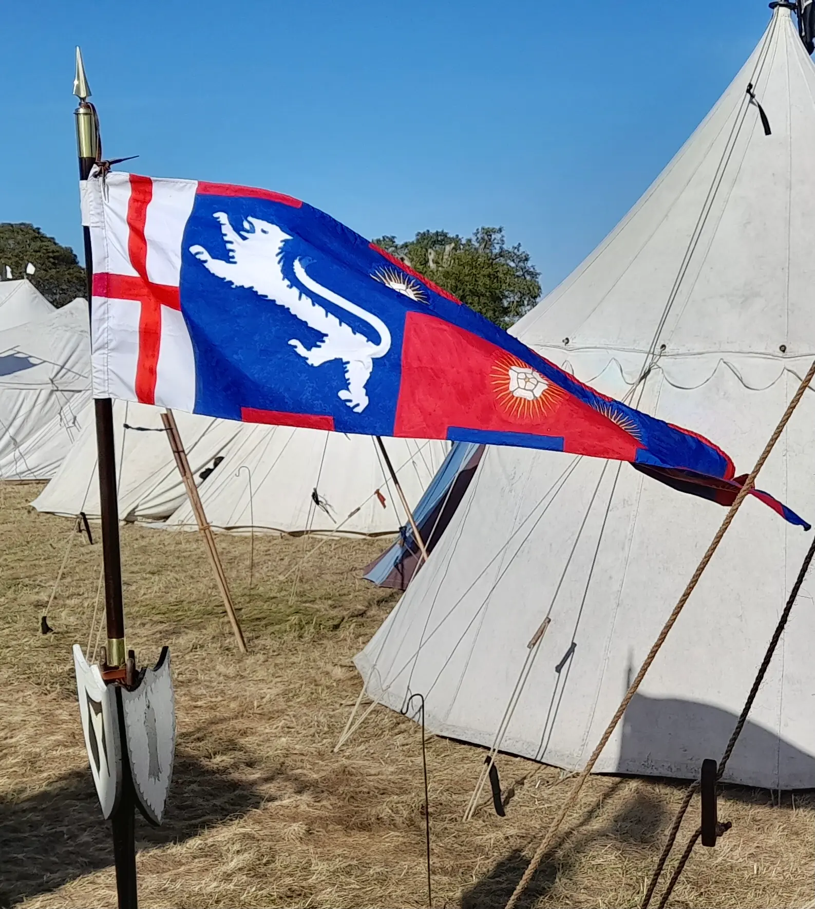 A flag or banner on a pole displaying a wolf symbol